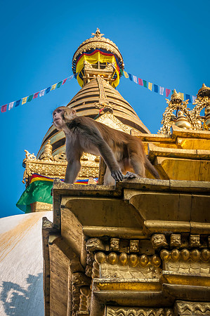 111027-Kathmandu-Nepal-161258.jpg